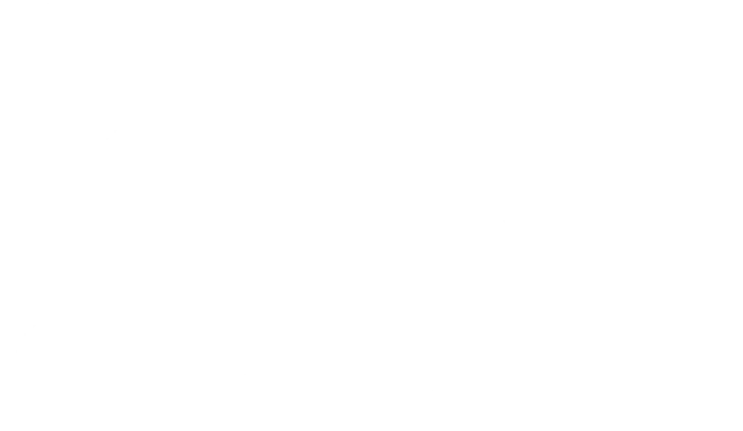 Shah Holdings Group